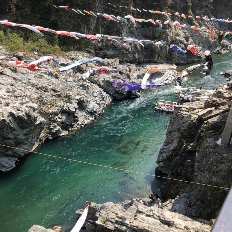 モコさんが投稿した大歩危峡観光遊覧船に関する口コミの画像
