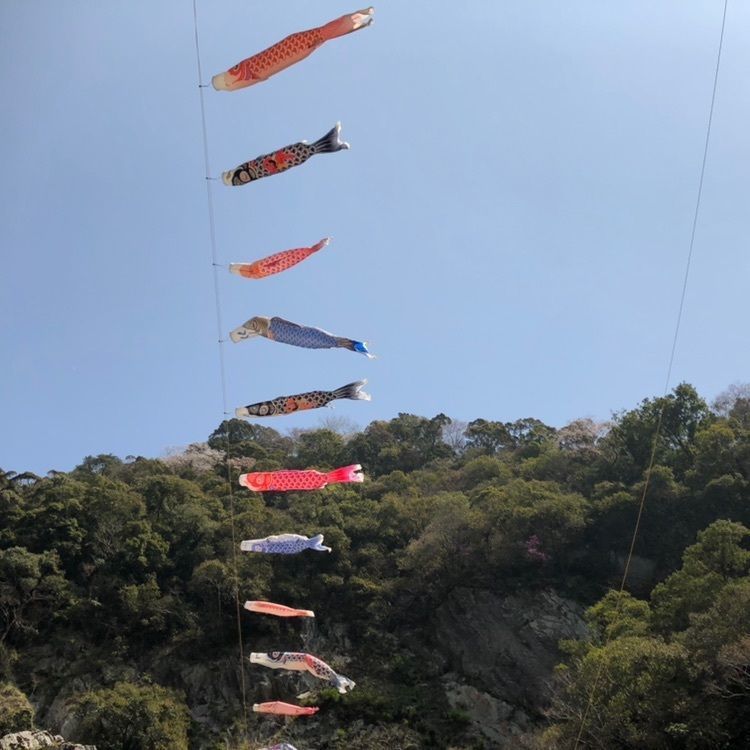 モコさんが投稿した大歩危峡観光遊覧船に関する口コミの画像