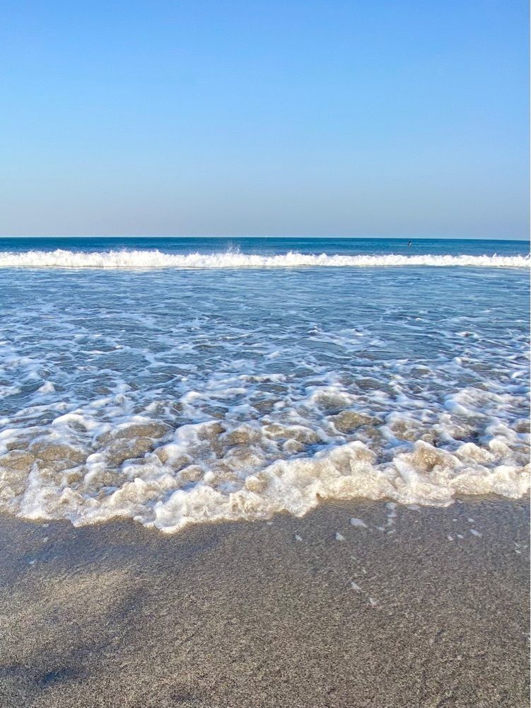 Satoshi.Nさんが投稿した南千倉海水浴場に関する口コミの画像