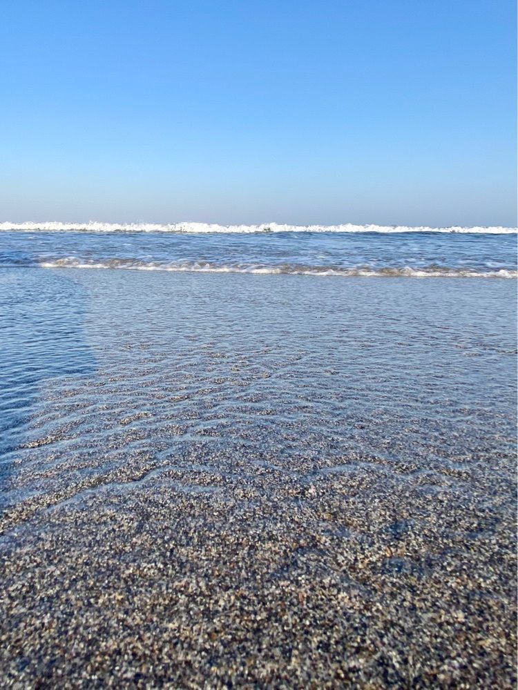 Satoshi.Nさんが投稿した南千倉海水浴場に関する口コミの画像
