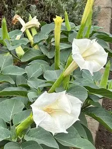 キッチンアリーナ