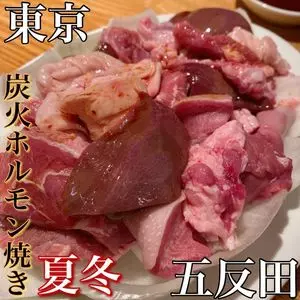 炭火ホルモン焼き 夏冬（スミビホルモンヤキ カトウ）