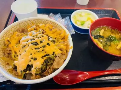 すき家 イオンモール浦和美園店