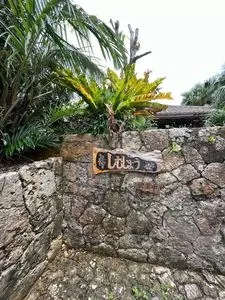しむじょう