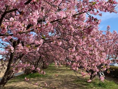 御厨古墳群 1枚目