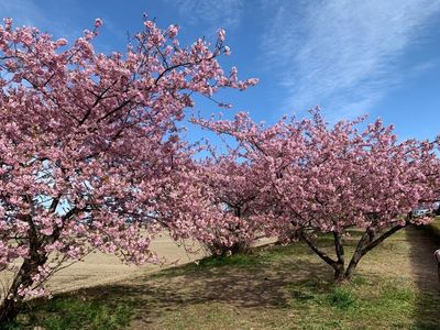 御厨古墳群 2枚目