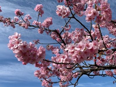 御厨古墳群 3枚目