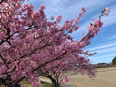 御厨古墳群 4枚目