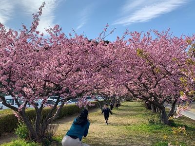 御厨古墳群 5枚目