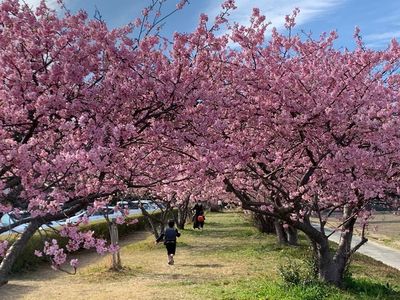 御厨古墳群 6枚目