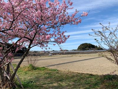 御厨古墳群 7枚目