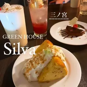グリーンハウスシルバ（GREEN HOUSE Silva）