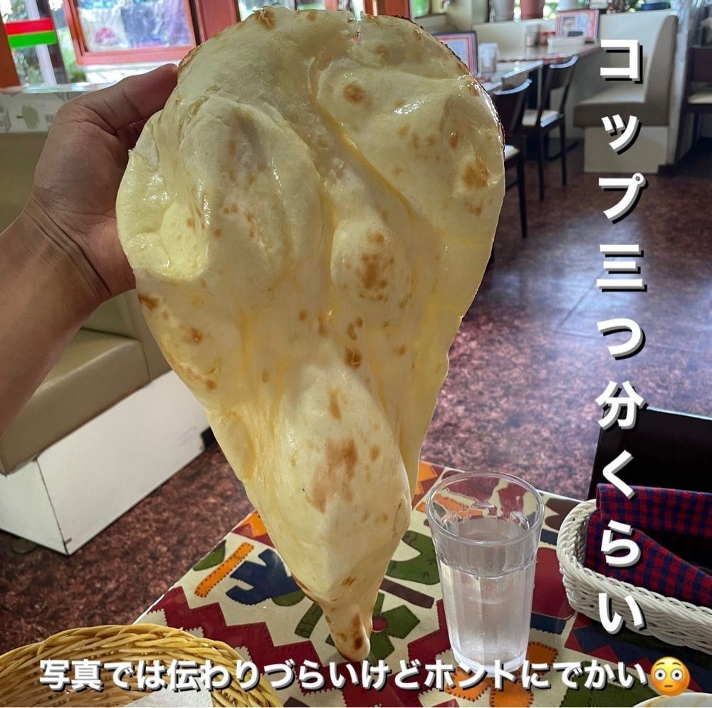 うまみちゃんさんが投稿したスビ マハルに関する口コミの画像
