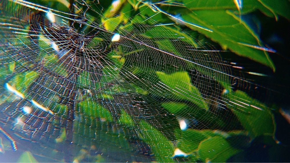 兎きちさんが投稿した高鍋湿原に関する口コミの画像