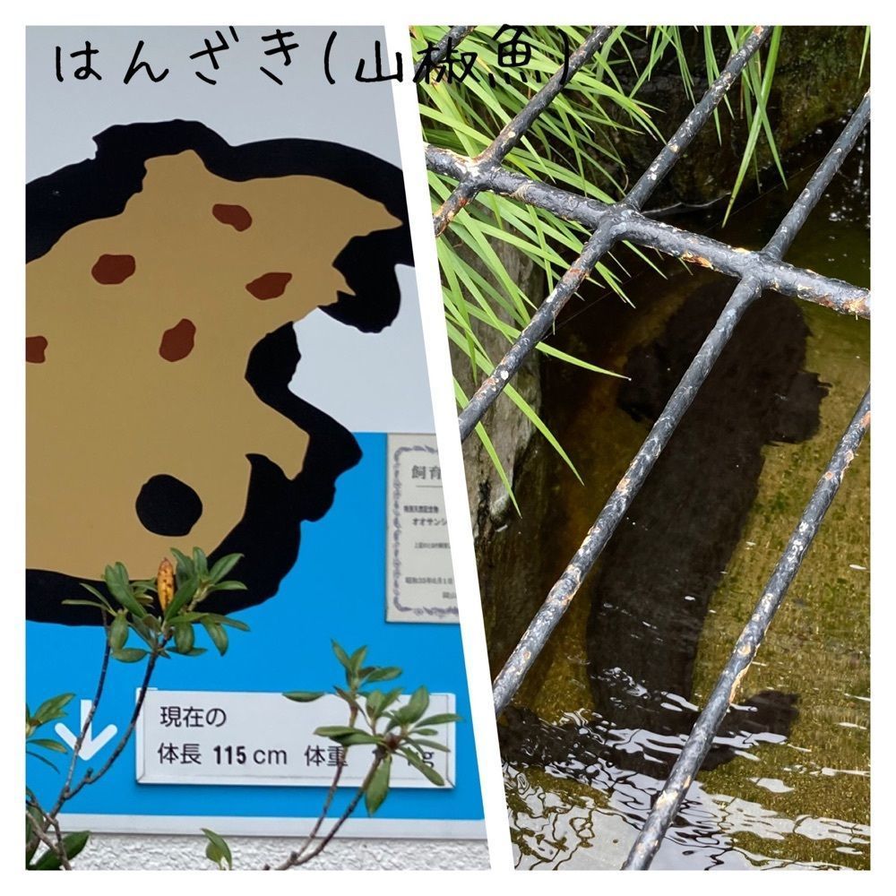 うーとらマンさんが投稿した道の駅 風の家に関する口コミの画像