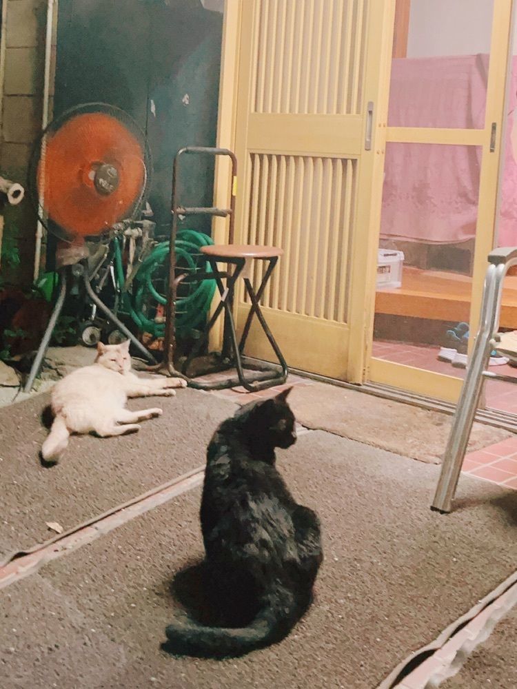 猫なぎ。さんが投稿した山下食堂に関する口コミの画像