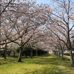 船明ダム運動公園 2枚目