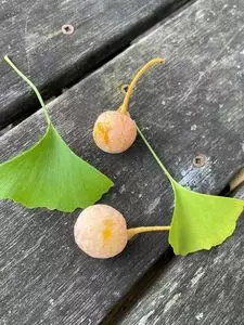 龍福寺本堂