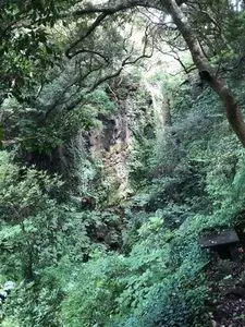伊豆大島