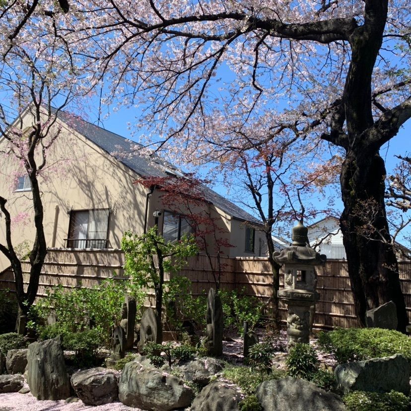 ひろさんさんが投稿した実相院に関する口コミの画像