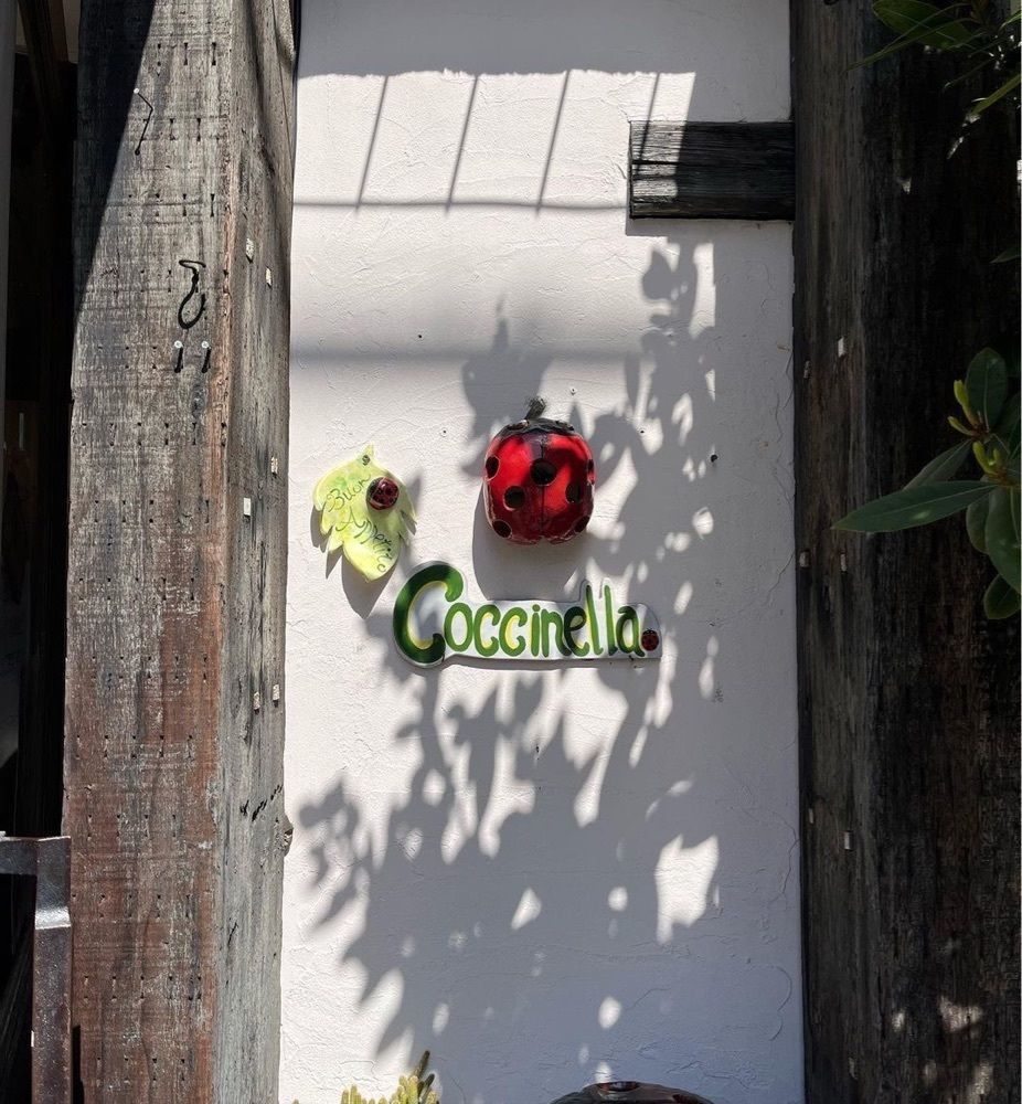 おでかけ探検部さんが投稿したトラットリア コチネッラ（trattoria Coccinella）に関する口コミの画像
