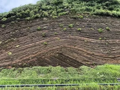 千波地層断面