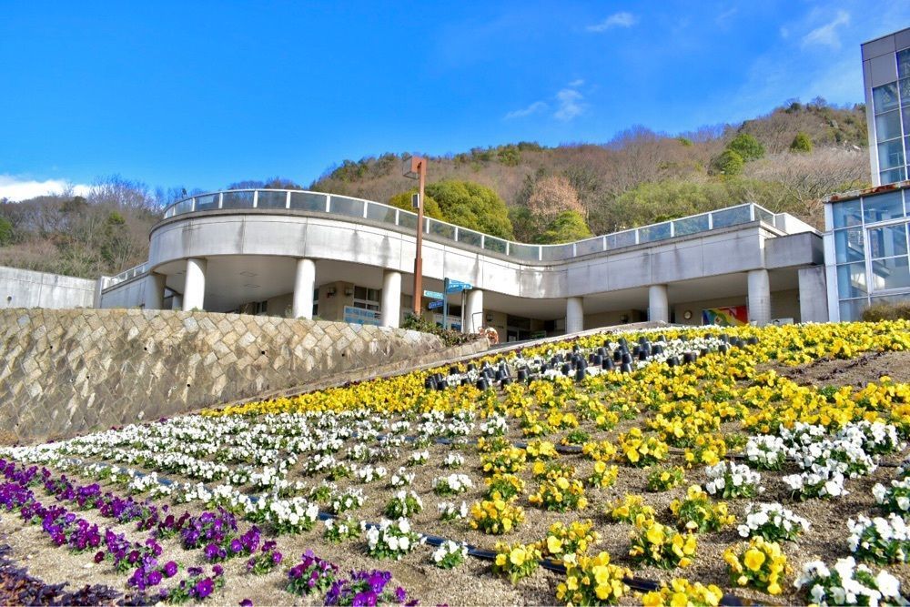 頼朝さんが投稿した尾道市因島フラワーセンターに関する口コミの画像