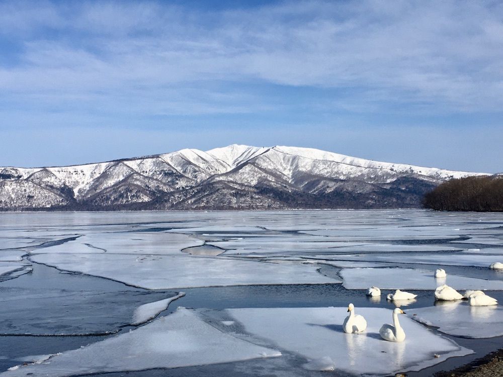 yoshiさんが投稿した屈斜路湖砂湯に関する口コミの画像