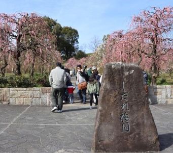 名古屋市農業センターdelaふぁーむ 2枚目