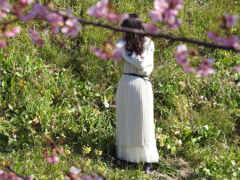 junkunさんが投稿した鷲宮コスモスふれあいロードに関する口コミの画像