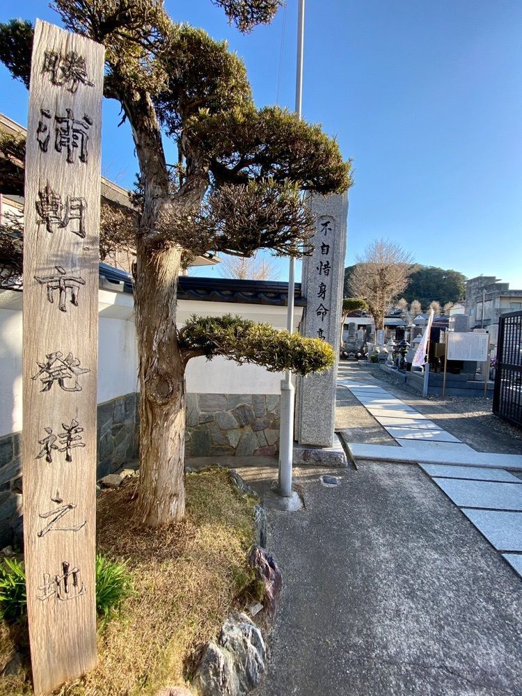 Satoshi.Nさんが投稿した高照寺の乳イチョウに関する口コミの画像