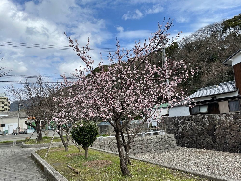 メリーさんが投稿した宇和島市立歴史資料館に関する口コミの画像