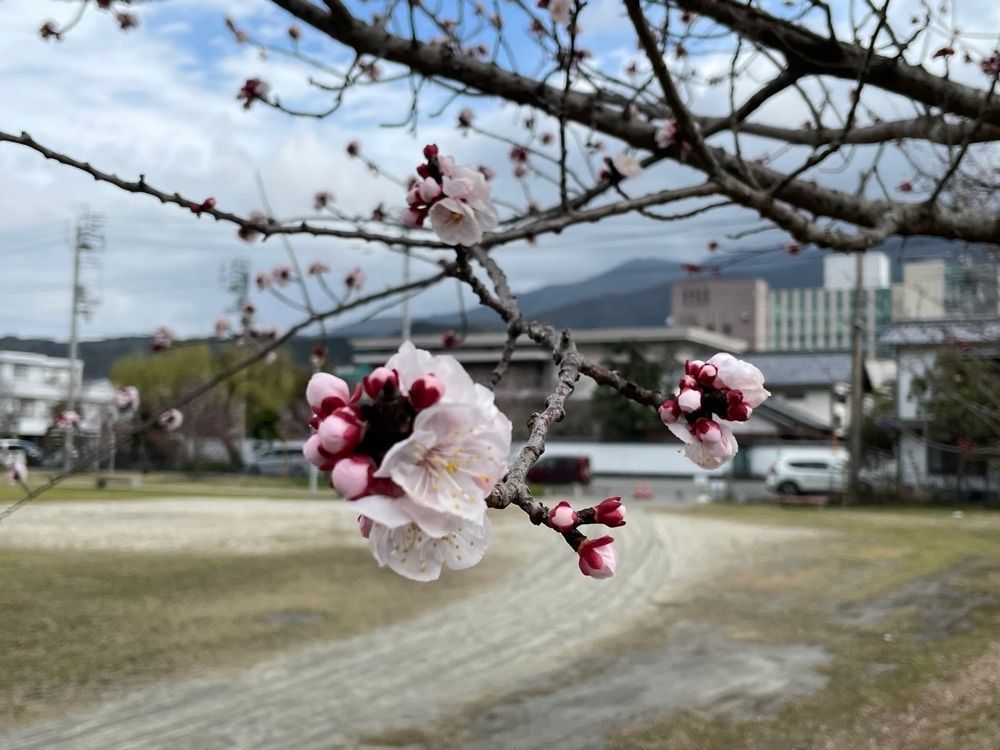 メリーさんが投稿した天赦園に関する口コミの画像
