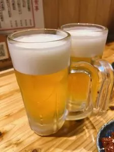 大衆酒場 鳥の素揚げ ほしの 2号店