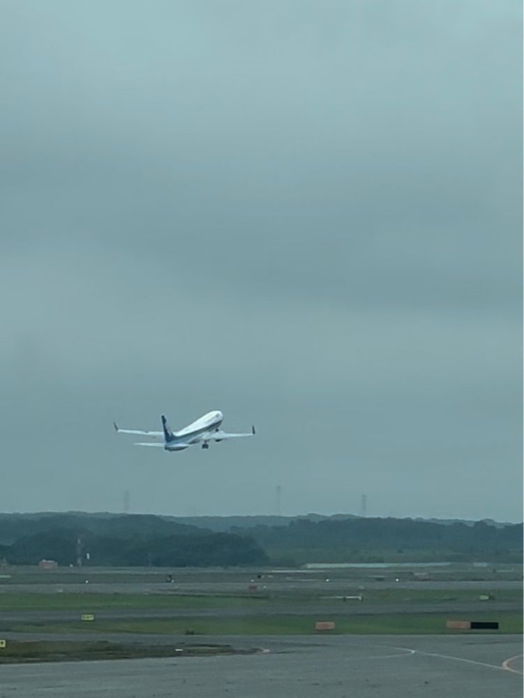 nico☺︎さんが投稿したサクララウンジ 新千歳空港 国内線（Sakura Lounge）に関する口コミの画像