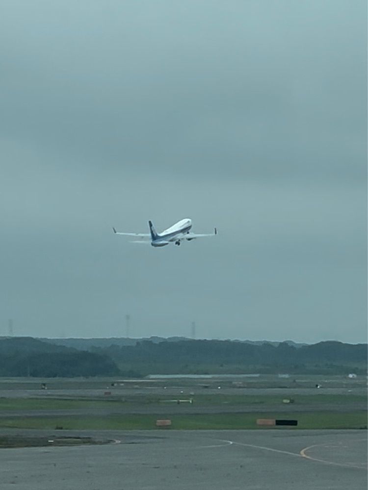 nico☺︎さんが投稿したサクララウンジ 新千歳空港 国内線（Sakura Lounge）に関する口コミの画像