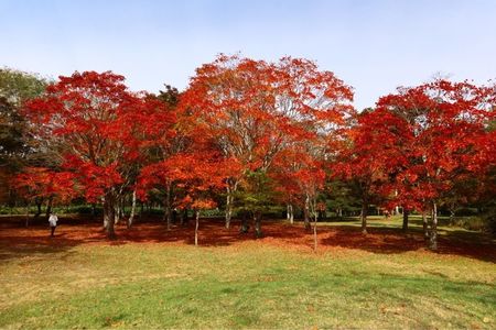 施設画像