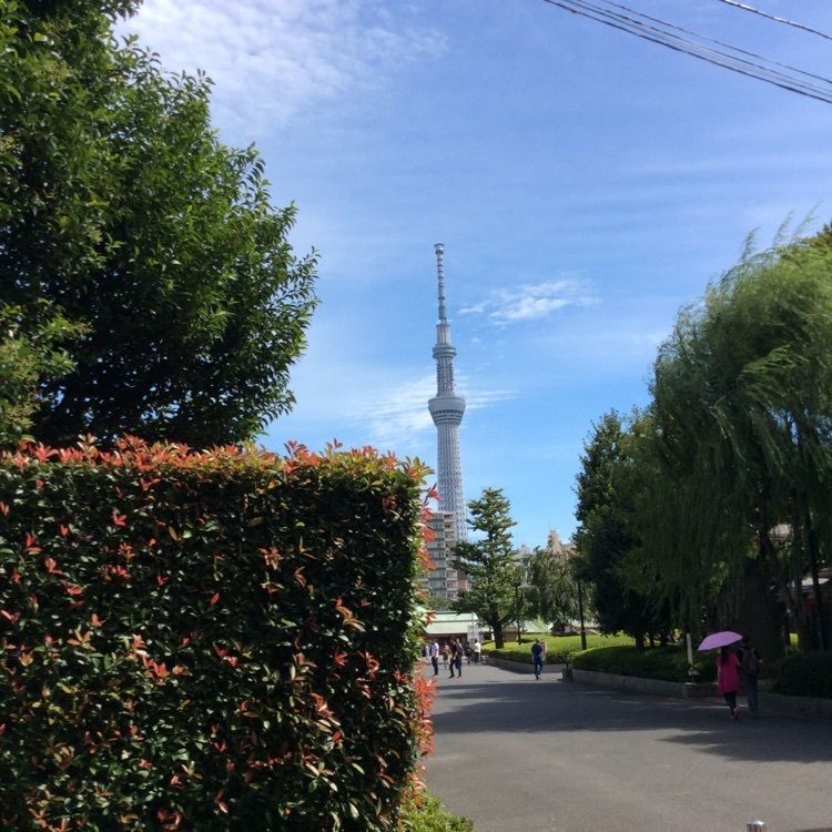 wonderfulさんが投稿した浅草 九重（ここのえ）に関する口コミの画像