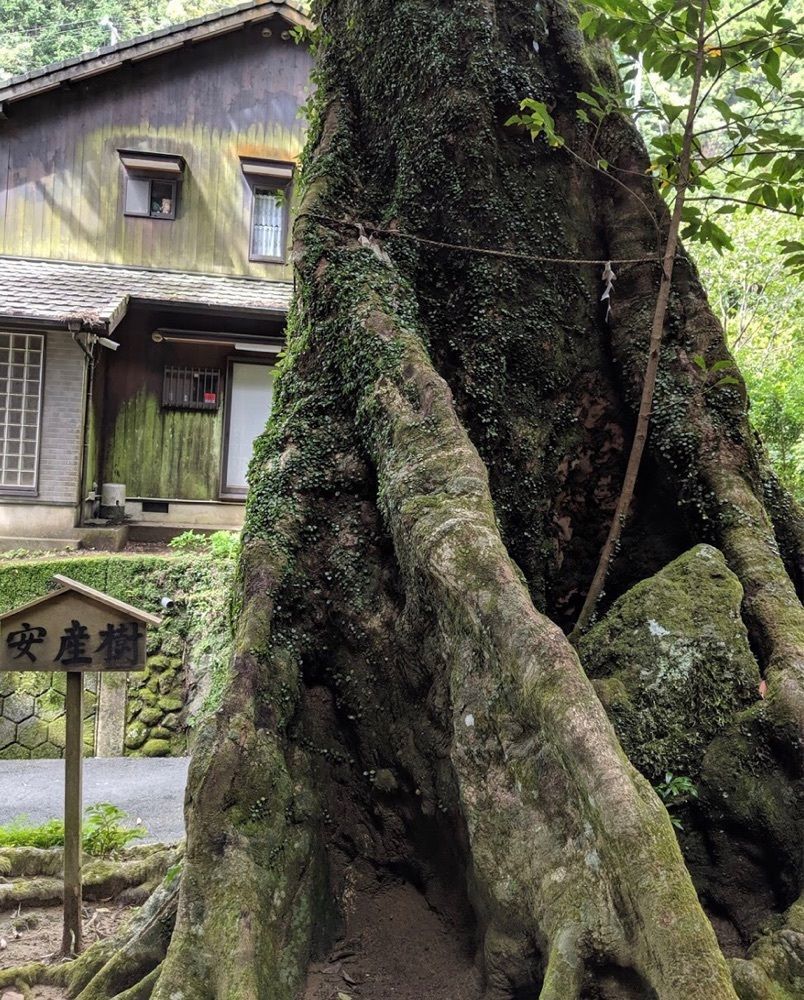 ＤＪゴン太さんが投稿した神内神社（子安神社）に関する口コミの画像