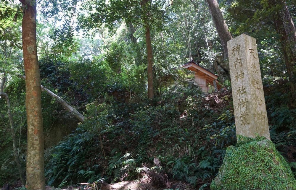 ＤＪゴン太さんが投稿した神内神社（子安神社）に関する口コミの画像