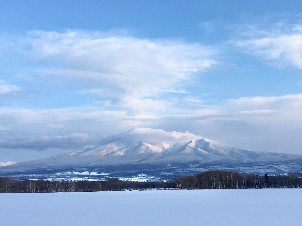 yoshiさんが投稿した道の駅パパスランドさっつるに関する口コミの画像