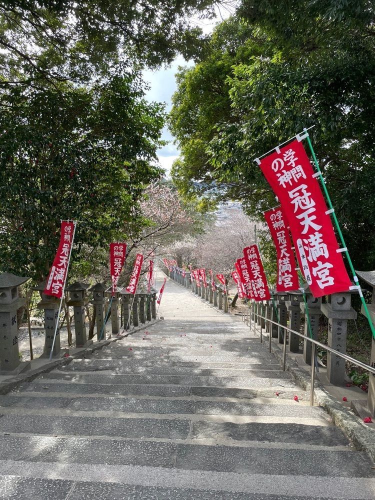 みーなさんが投稿した冠山総合公園梅の里／うめに関する口コミの画像