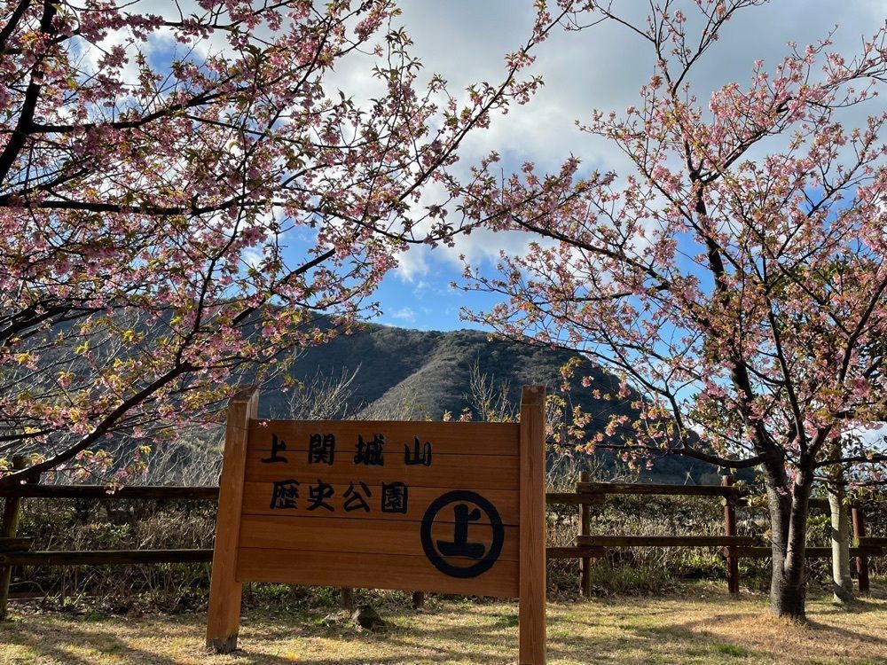 みーなさんが投稿した上関に関する口コミの画像