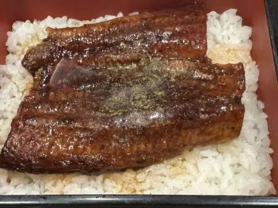 吉野家 Dila小山店