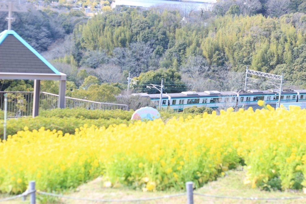☻*さんが投稿した神戸総合運動公園に関する口コミの画像