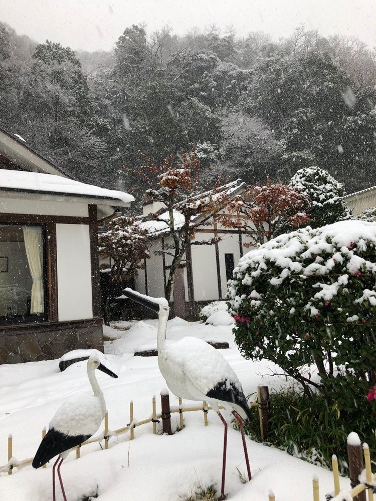 かぼぢさんさんが投稿した城崎温泉　西村屋本館に関する口コミの画像