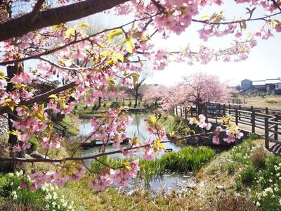 施設画像