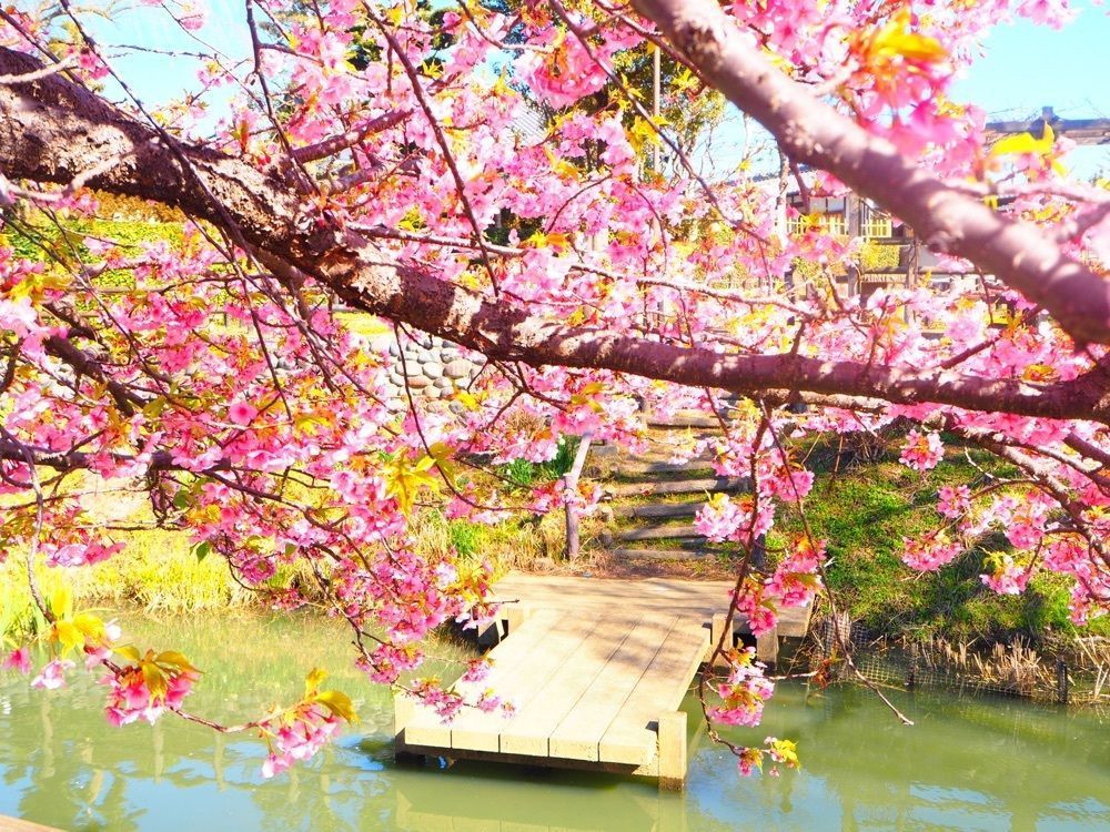ayuminさんが投稿した長島水辺のやすらぎパークに関する口コミの画像
