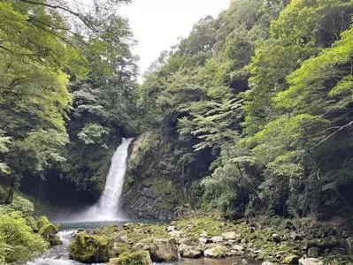 浄蓮の滝 天城国際鱒釣場
