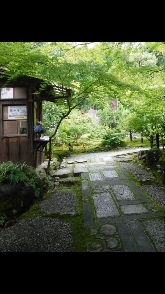 京都を巡る会・「武」さんが投稿した檀林寺に関する口コミの画像